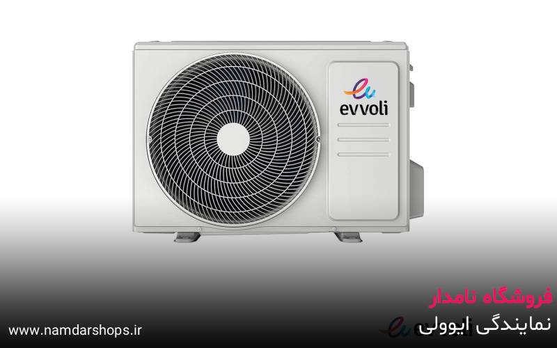 نمایندگی ایوولی در اندیشه